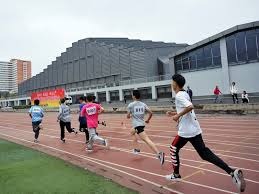 解析老爹欧提兹的关键一击基因